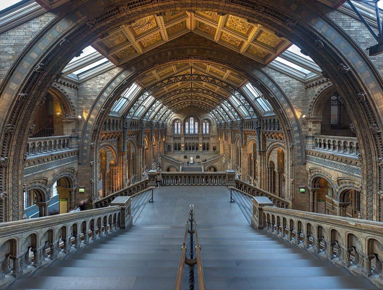 Musée d'histoire naturelle