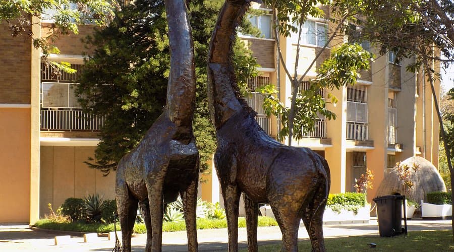 Musée national d'histoire (Bulawayo)