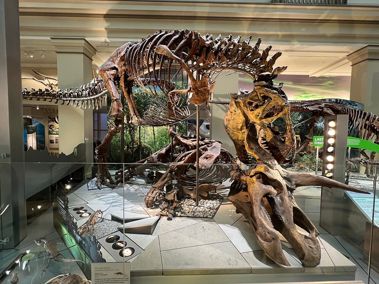 Smithsonian National Museum of Natural History (Washington)