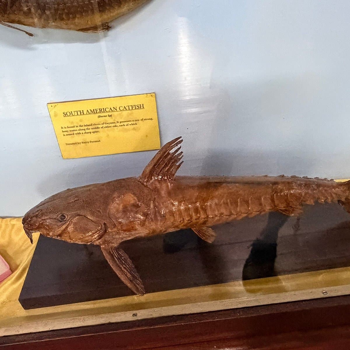 Musée national du Guyana